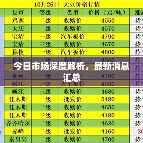 今日市场深度解析，最新消息汇总
