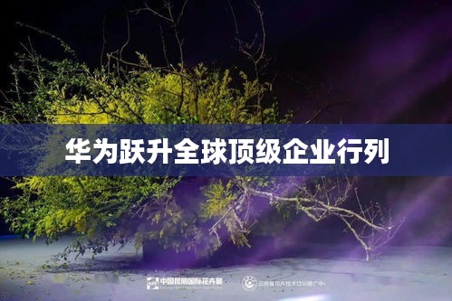 华为跃升全球顶级企业行列
