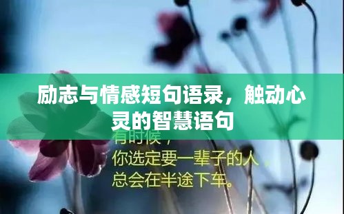 励志与情感短句语录，触动心灵的智慧语句