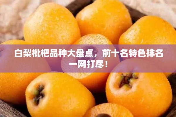 白梨枇杷品种大盘点，前十名特色排名一网打尽！