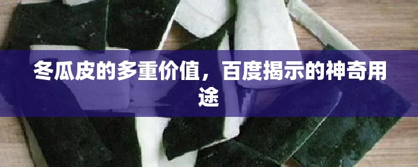 冬瓜皮的多重价值，百度揭示的神奇用途