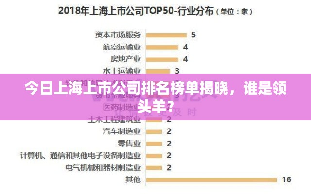 今日上海上市公司排名榜单揭晓，谁是领头羊？