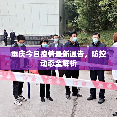 重庆今日疫情最新通告，防控动态全解析