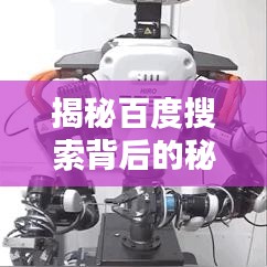 揭秘百度搜索背后的秘密，日日操背后的真相一网打尽！