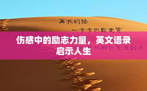伤感中的励志力量，英文语录启示人生