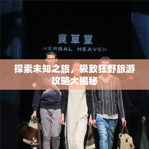 探索未知之旅，极致狂野旅游攻略大揭秘