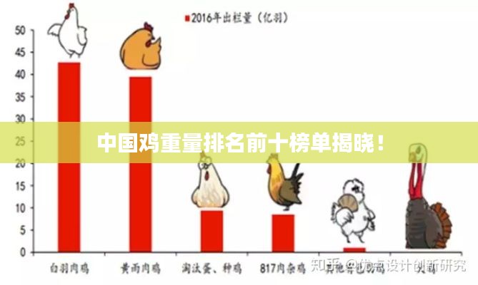 中国鸡重量排名前十榜单揭晓！
