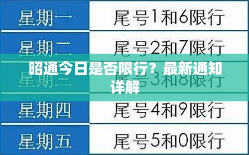 2025年4月 第141页