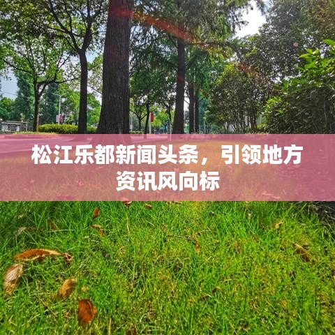 松江乐都新闻头条，引领地方资讯风向标