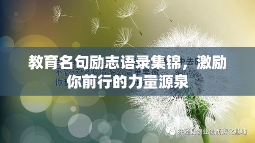 教育名句励志语录集锦，激励你前行的力量源泉