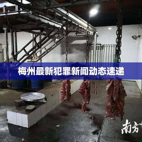 梅州最新犯罪新闻动态速递