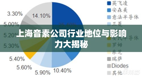 上海音素公司行业地位与影响力大揭秘