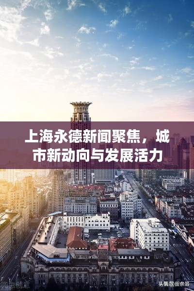 上海永德新闻聚焦，城市新动向与发展活力