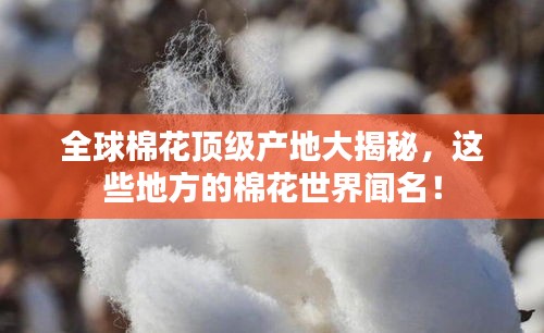 全球棉花顶级产地大揭秘，这些地方的棉花世界闻名！