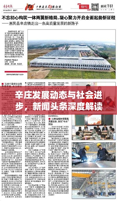 辛庄发展动态与社会进步，新闻头条深度解读