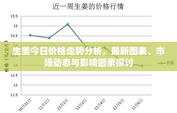 生姜今日价格走势分析，最新图表、市场动态与影响因素探讨
