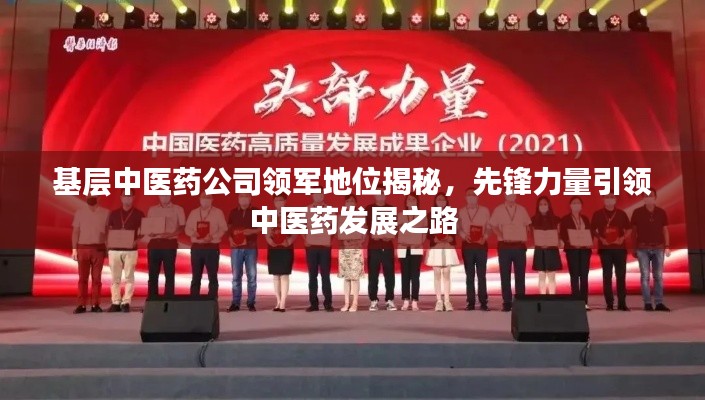 基层中医药公司领军地位揭秘，先锋力量引领中医药发展之路