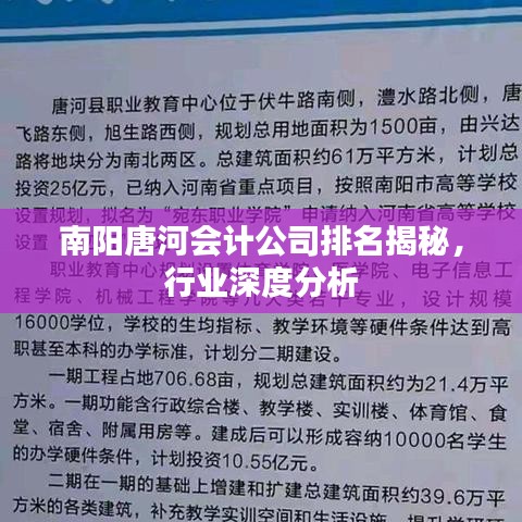 南阳唐河会计公司排名揭秘，行业深度分析