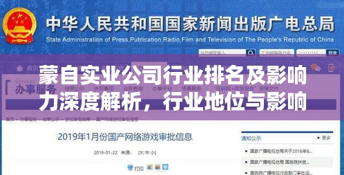 蒙自实业公司行业排名及影响力深度解析，行业地位与影响力不容小觑