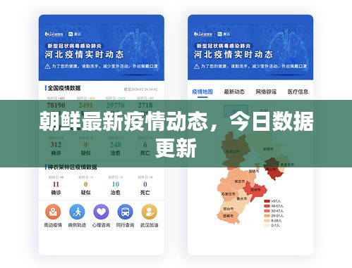 朝鲜最新疫情动态，今日数据更新