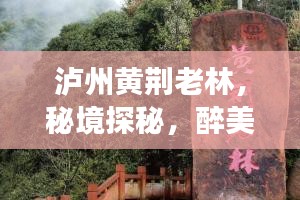 悠然自得