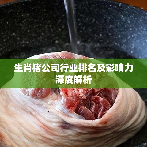 生肖猪公司行业排名及影响力深度解析