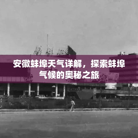 绰约多姿