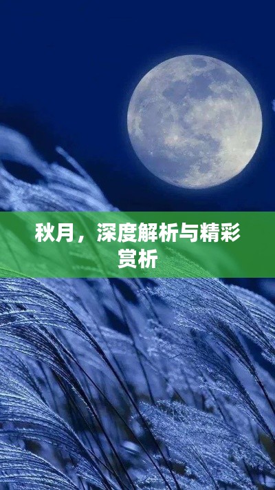 秋月，深度解析与精彩赏析
