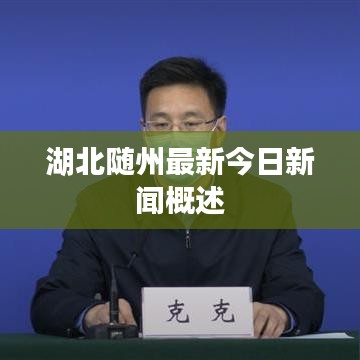 湖北随州最新今日新闻概述