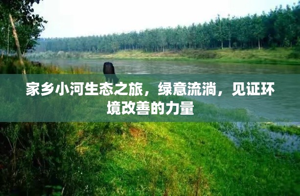 家乡小河生态之旅，绿意流淌，见证环境改善的力量