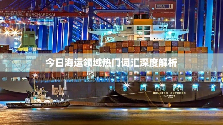 今日海运领域热门词汇深度解析