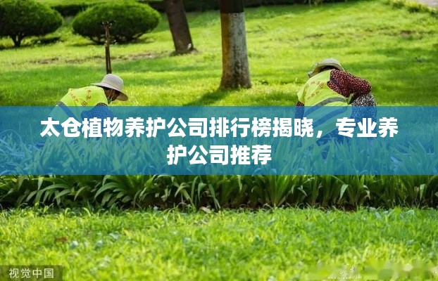 太仓植物养护公司排行榜揭晓，专业养护公司推荐