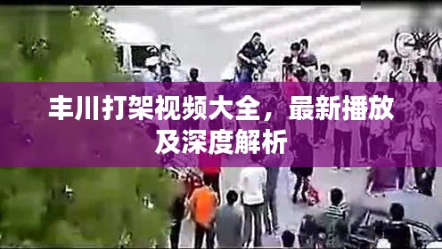 丰川打架视频大全，最新播放及深度解析