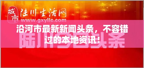 沿河市最新新闻头条，不容错过的本地资讯！