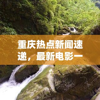 重庆热点新闻速递，最新电影一网打尽！
