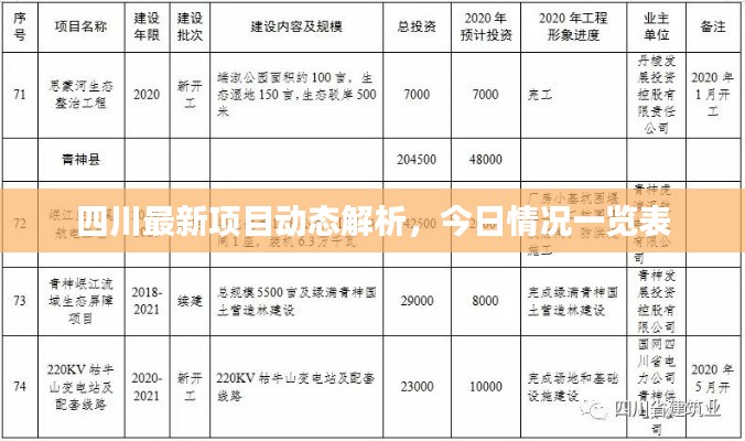 四川最新项目动态解析，今日情况一览表