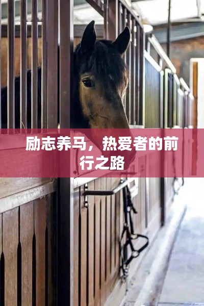 励志养马，热爱者的前行之路