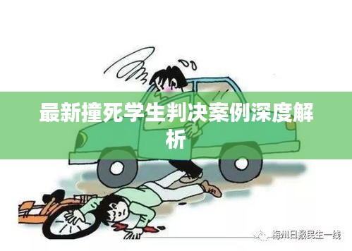 最新撞死学生判决案例深度解析