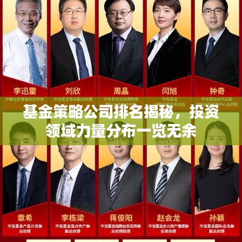 基金策略公司排名揭秘，投资领域力量分布一览无余