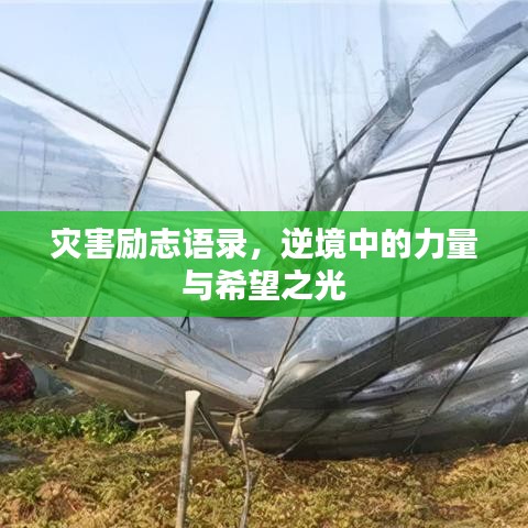 灾害励志语录，逆境中的力量与希望之光