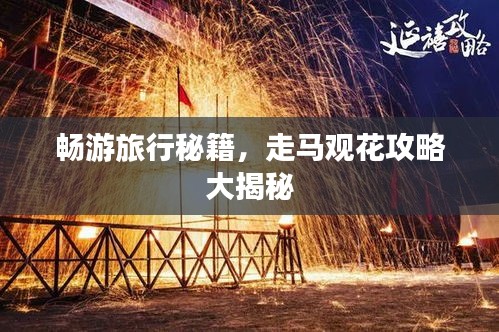 畅游旅行秘籍，走马观花攻略大揭秘