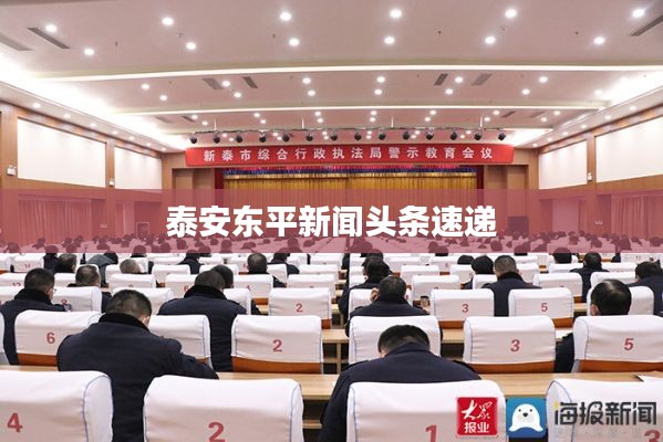 泰安东平新闻头条速递