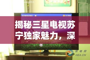 揭秘三星电视苏宁独家魅力，深度体验与购买指南全攻略