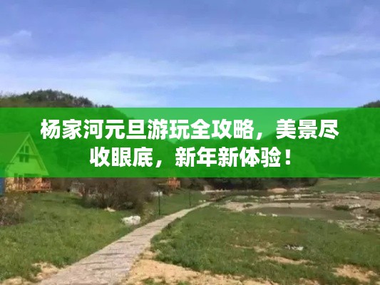 杨家河元旦游玩全攻略，美景尽收眼底，新年新体验！