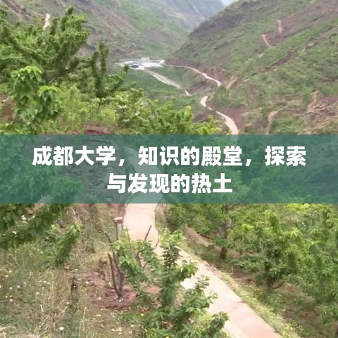 徙宅忘妻