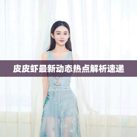 皮皮虾最新动态热点解析速递