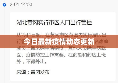 今日最新疫情动态更新