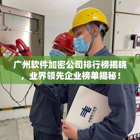 广州软件加密公司排行榜揭晓，业界领先企业榜单揭秘！