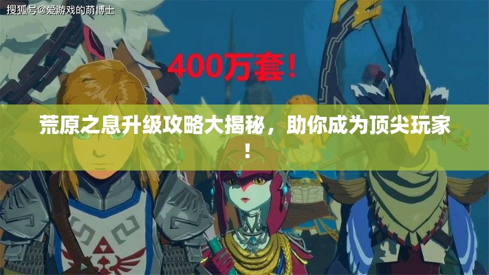 荒原之息升级攻略大揭秘，助你成为顶尖玩家！