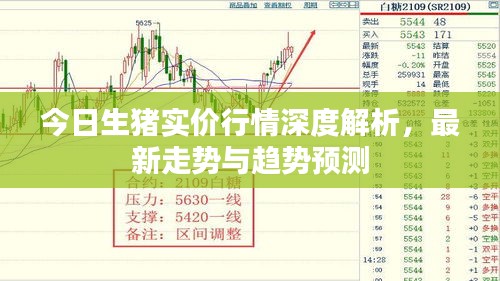 今日生猪实价行情深度解析，最新走势与趋势预测